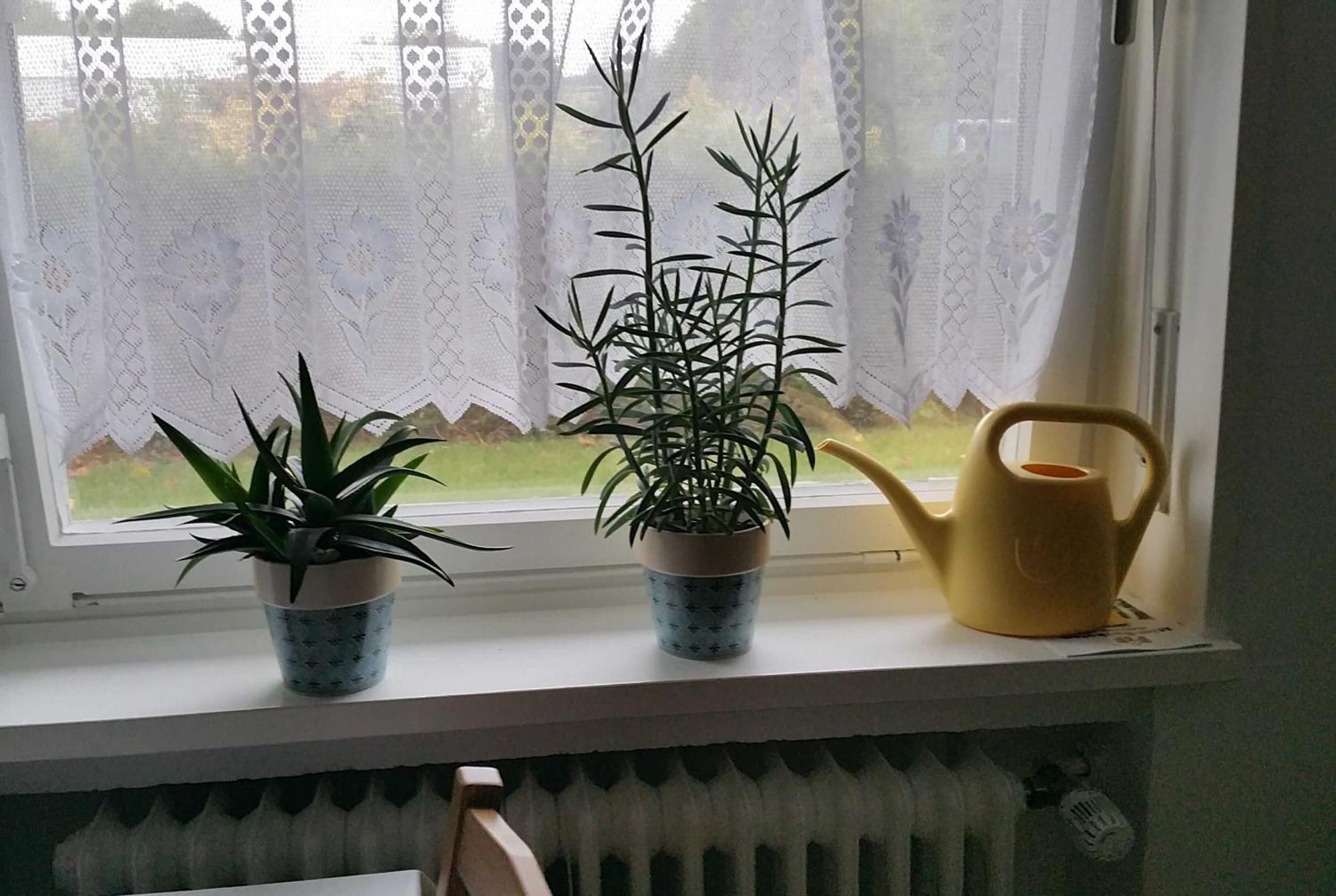 Ferienwohnung Rombachs Spatzennest Херболцхайм Екстериор снимка