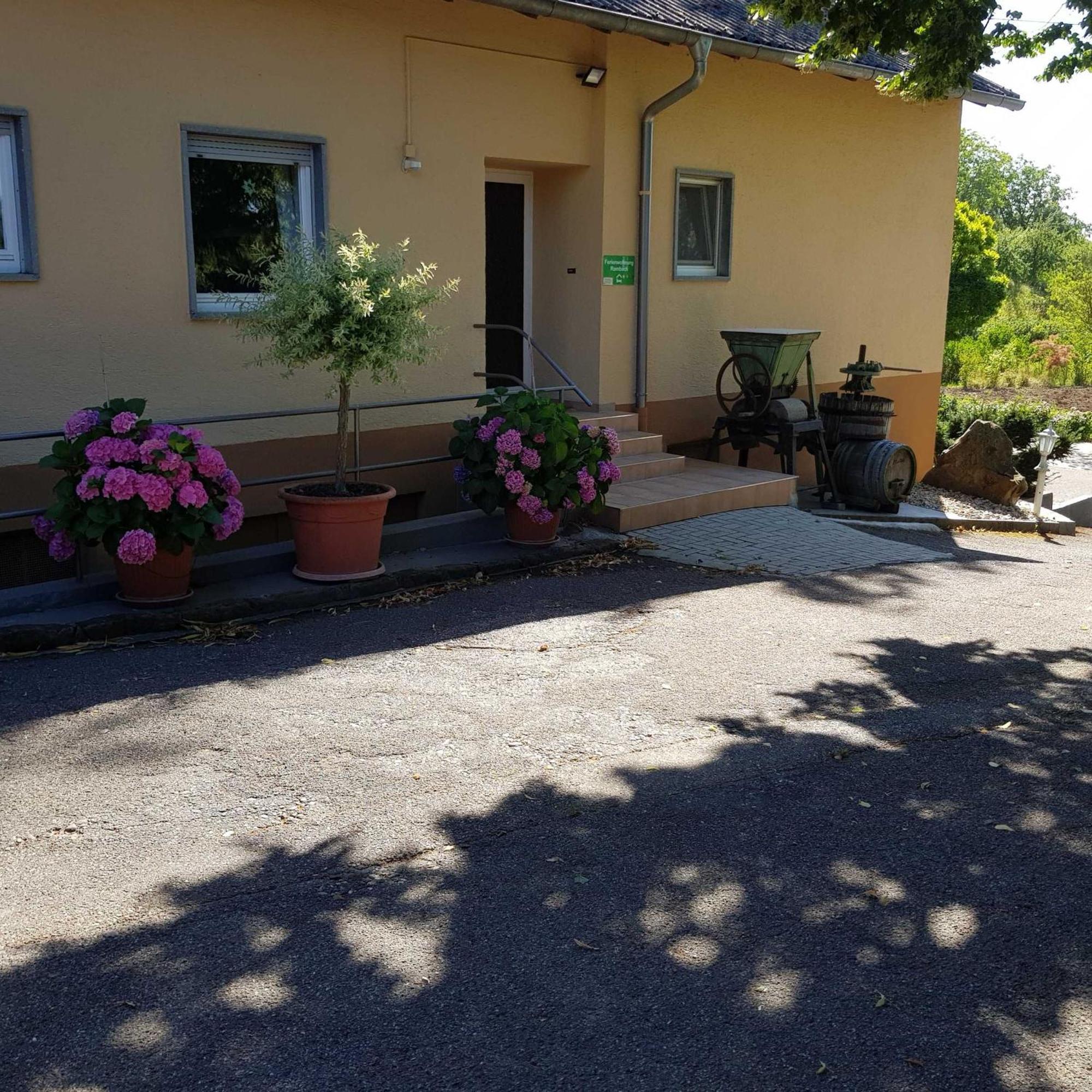 Ferienwohnung Rombachs Spatzennest Херболцхайм Екстериор снимка